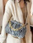 Fashion Zebra Pattern Chain Pleated Leopard Print Diagonal Shoulder Bag