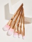 Fashion Rose Gold Color 5 Heart-shaped Plastic Handle Aluminum Tube Nylon Hair Makeup Brushes