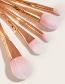 Fashion Rose Gold Color 5 Heart-shaped Plastic Handle Aluminum Tube Nylon Hair Makeup Brushes