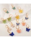 Fashion Color Mixing Butterfly Acrylic Alloy Earring Set