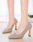 Fashion Silver Stiletto Pointed High Heels