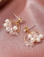 Fashion Kc Gold Double-layer Circle Earrings With Pearl And Zircon