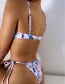 Fashion Printing Pleated Lace Butterfly Print Split Swimsuit