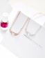 Fashion Large Rose Gold Angel Wings Micro Zircon Ring Necklace