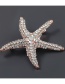 Fashion Starfish Alloy-studded Starfish Brooch