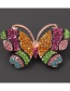 Fashion Color Alloy-studded Butterfly Brooch