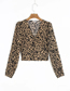 Fashion Khaki Leopard Print Leopard Print V-neck Long Sleeve Top