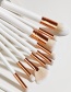 Fashion Platinum Set Of 15 Nylon Hair Makeup Brushes With Wooden Handle