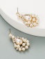 Fashion Pearl Long Drop Pearl Earrings