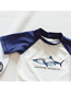 Fashion Boy White Blue Shark Childrens Three-piece Shark Split Swimsuit