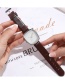 Fashion Silver Color Shell Brown With White Noodles Scale Face Quartz Watch