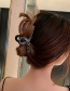 Fashion Brown Hairpin Rhinestone Clamp