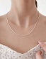 Fashion Silver Color Square (pearl) Rice Pearl Necklace