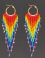 Fashion Color Rice Bead Woven Rainbow Tassel Beaded Earrings