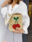 Fashion Photo Color Cherry Woven Crossbody Shoulder Bag