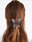 Fashion Gray Butterfly Jelly Color Hair Scratch