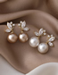 Fashion B Champagne Pearl Micro-set Zircon Butterfly Earrings