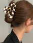 Fashion Black And White Grid Grabbing Clip-ingot Lattice Acrylic Hair Scratch