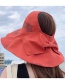 Fashion Beige Butterfly Sun Hat