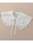 Fashion White Lace Hollow Flower False Collar
