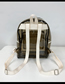 Fashion Coffee Color Pvc Transparent Backpack