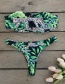 Fashion Green Leaves + Leopard Animal Leopard Print Split Swimsuit