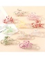 Fashion Fruit Clip-circle Strawberry Fruit Flower Plate Hair Catch Clip