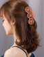 Fashion Frosted Khaki Rose Large Plate Hair Clip