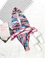 Fashion Multicolor Color Striped Halterneck Split Swimsuit
