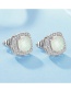 Fashion White Sterling Silver And Platinum Plated Earrings