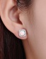 Fashion White Sterling Silver And Platinum Plated Earrings