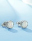 Fashion White Sterling Silver Round Platinum-plated Earrings