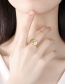 Fashion Yellow Gold S925 Sterling Silver Colored Zircon Tree Branch Ring