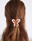 Fashion Full Of Pearls And Transparent Transparent Butterfly Pearl Rhinestone Hair Catch