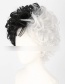 Fashion Black+white Rose Net Black And White Stitching Wig Set