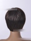 Fashion Dark Brown Rose Net High Temperature Silk Short Hair Wig Headgear