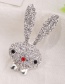 Fashion Pz0214 Silver Rhinestone Bunny Tulip Brooch