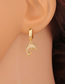 Fashion Whale Copper Micro-inlaid Zircon Whale Earrings