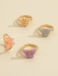 Fashion Main Picture Four-piece Colorful Butterfly Ring