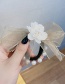 Fashion Champagne Bowknot Flower Hair Rope