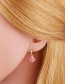 Fashion Rose Red Oil Drop Scalloped Shell Earrings