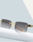 Fashion Gold Color Frame Powder Tea Leopard Head Trimmed Square Sunglasses