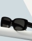 Fashion White Frame Black Gray Square Frame Sunglasses