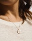 Fashion Rose Gold Dw-96 Stainless Steel Gold Plated Round Animal Necklace