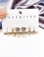 Fashion Golden Zircon Leopard Earring Set