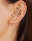 Fashion Glossy Pierced Zircon Surround Ear Studs