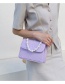 Fashion Purple Pearl Embroidery Thread Shoulder Messenger Bag
