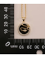 Fashion C (black) Round Inlaid Serpentable Shell Necklace