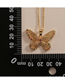 Fashion C Cutout Zirconium Butterfly Necklace