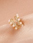 Fashion White K Micro-set Zircon Wave Pearl Earrings